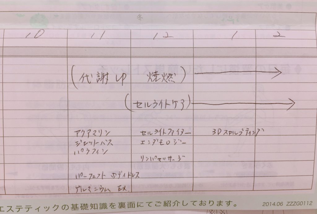 ソシエエステ体験まとめ