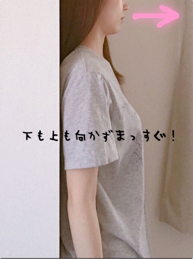 顎の向き良い例